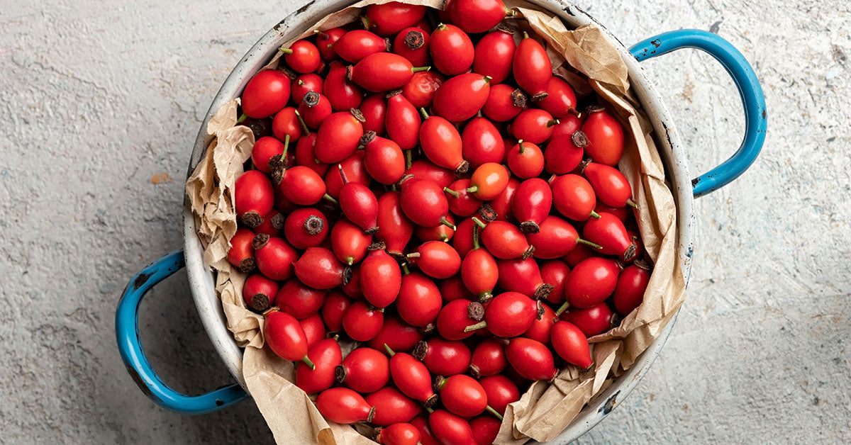 Rosehips Oil & Anti-Aging, The Real Deal Science Breakdown