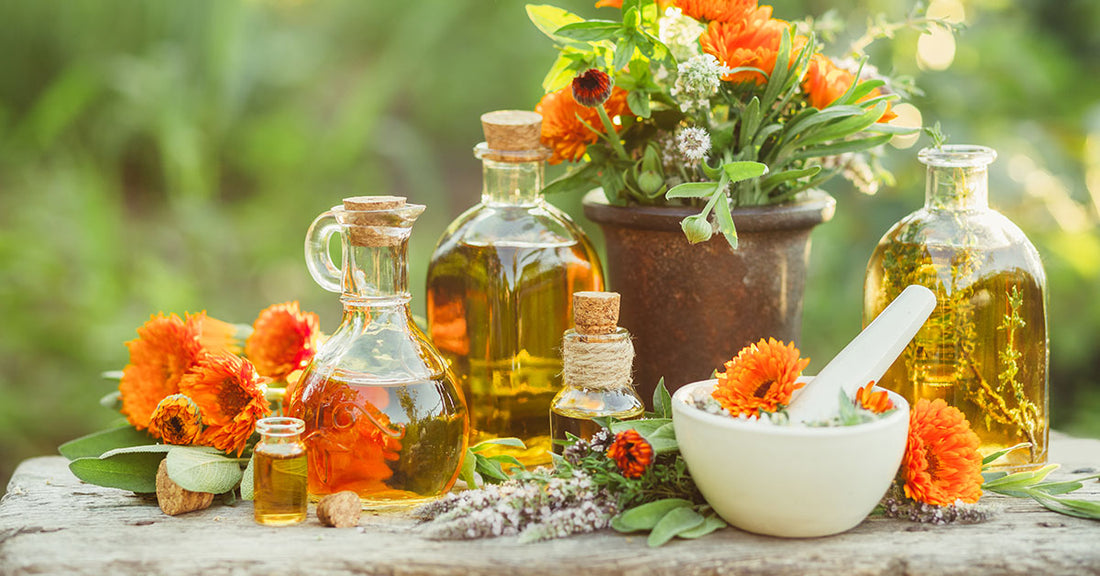 The Many Benefits of Calendula Oil For Your Skin