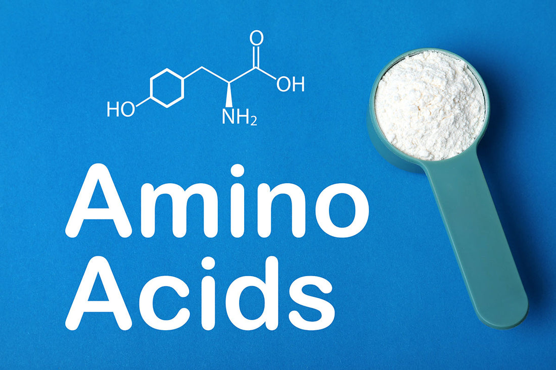 The Marvels of Amino Acids for Skin Rejuvenation