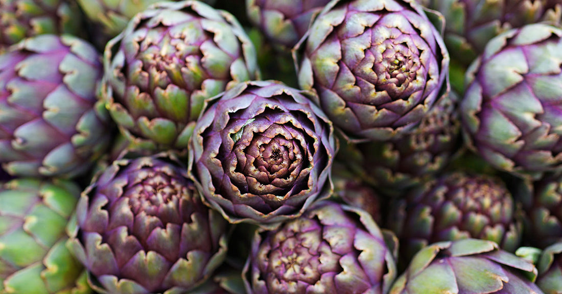 Why is Artichoke Extract Good For Your Health?