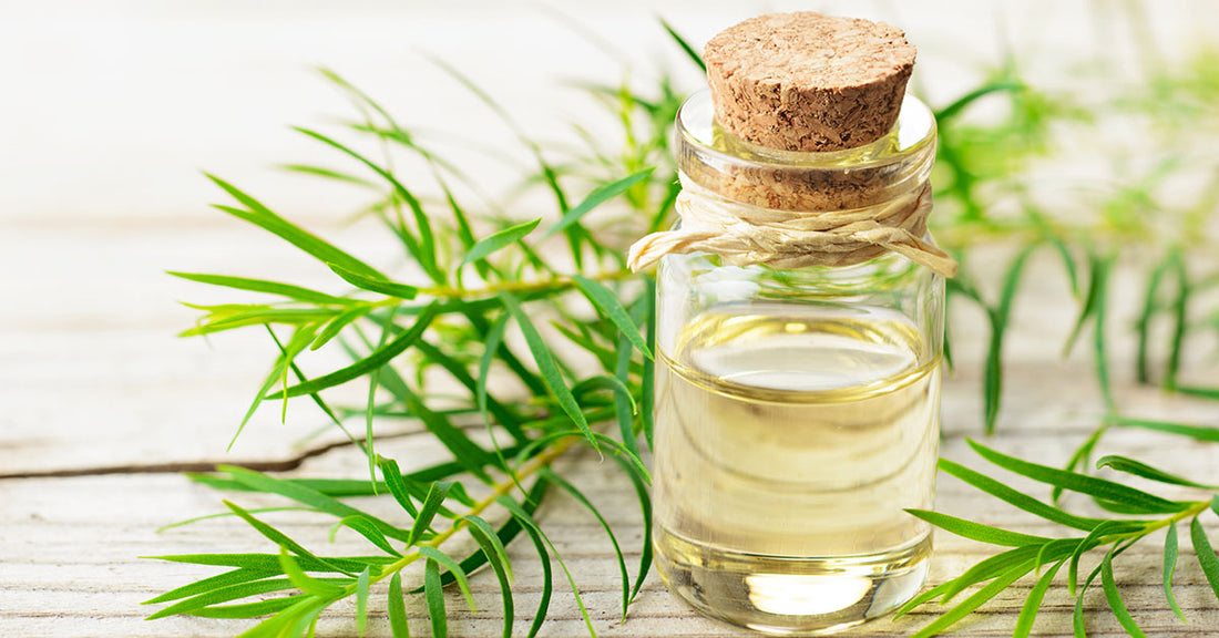 A DIY Tea Tree Oil Recipe for Acne At Any Age